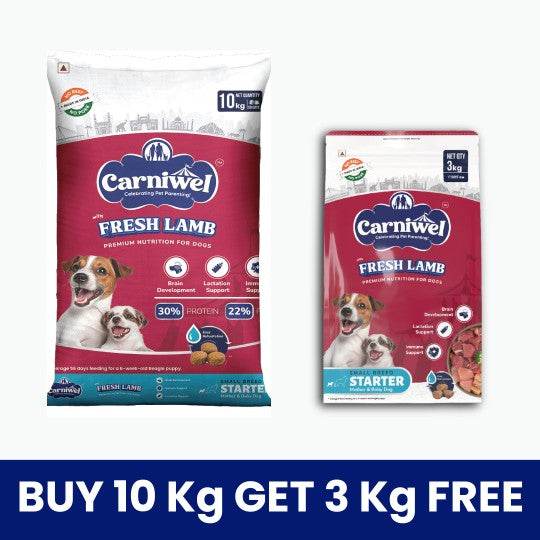 Carniwel Dry Dog Food with Fresh Lamb for Small Breed, Starter