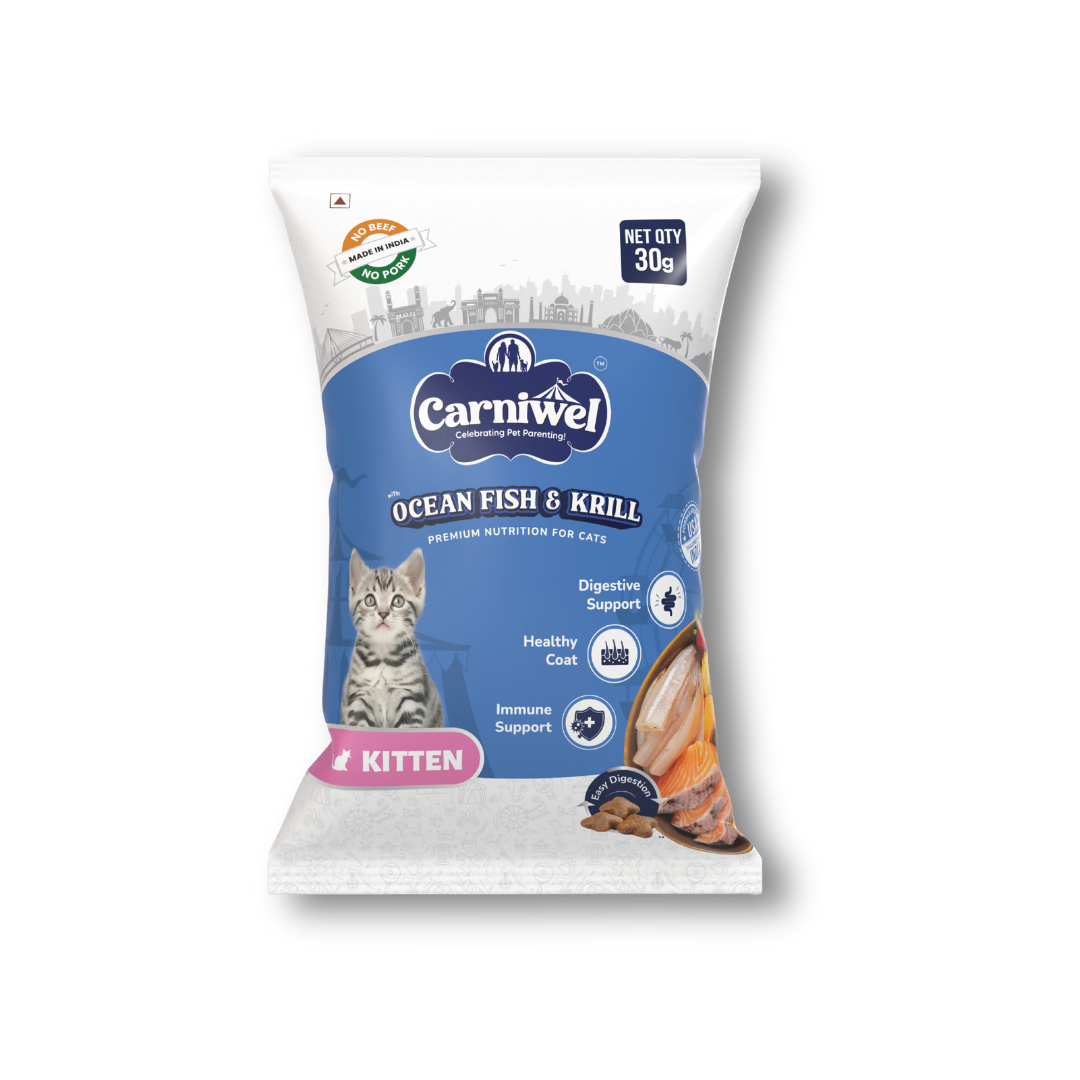 Kitten dry food only best sale