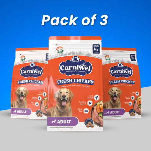 Fresh Chicken, Large Breed, Adult Dry Dog Food (Pack of 3)